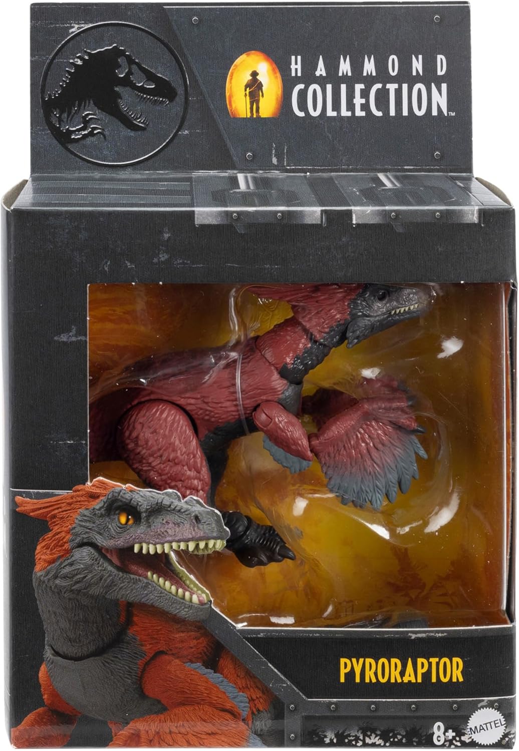 **MTS Toys**Mattel Jurassic World Hammond Collection : HTV64 Pyroraptor [ความยาวจากหัวถึงหาง 21 ซ.ม.]