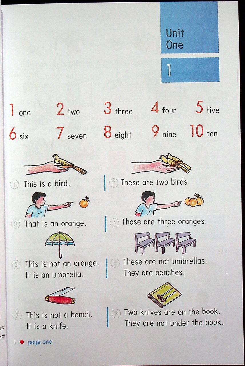 NEW STANDARD ENGLISH 5