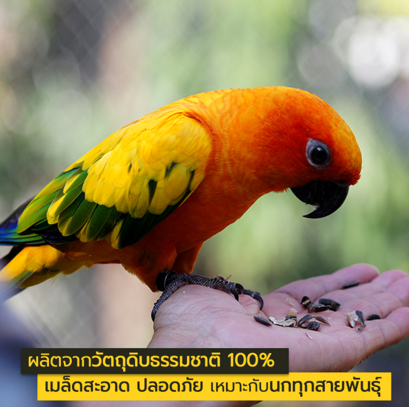 เมล็ดอาหารสัตว์ ทานตะวัน (อาหารนก และ สัตว์ฟันแทะ) SUPERTOP | 1 KG.