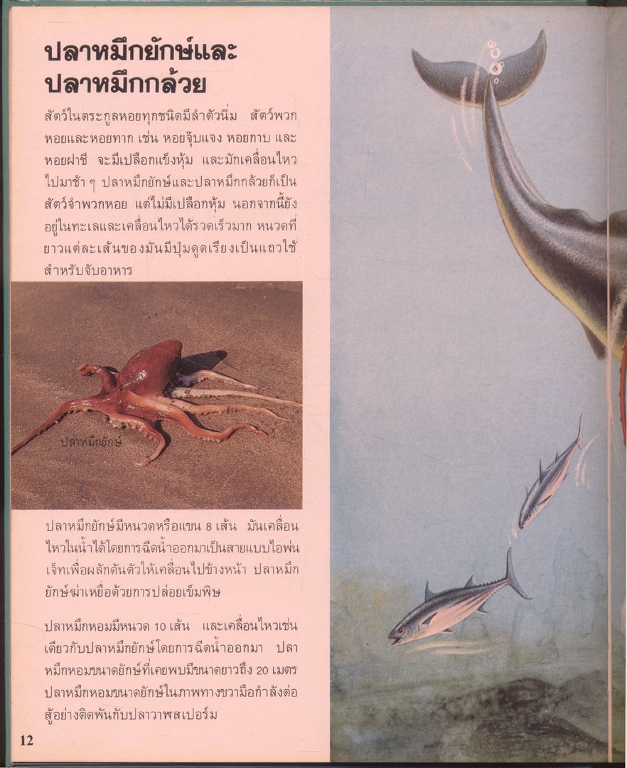 สารานุกรมเยาวชน นานาความรู้ชุดที่ 1 สัตว์เลือดเย็น