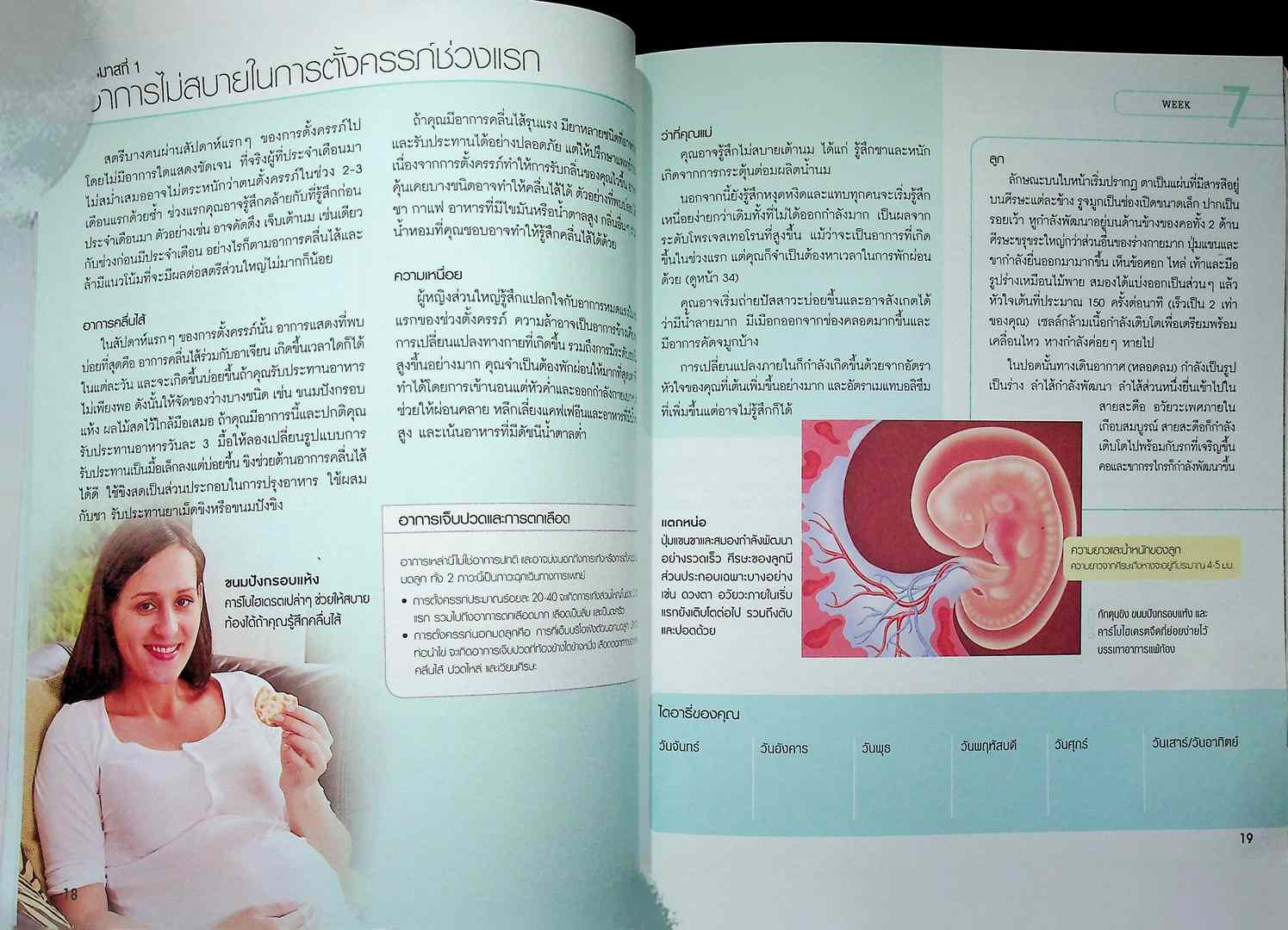 คู่มือการตั้งครรภ์สำหรับคุณแม่มือใหม่