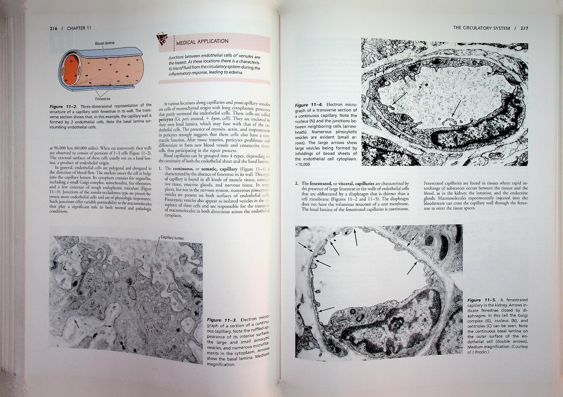 basic histology TEXT & ATLAS