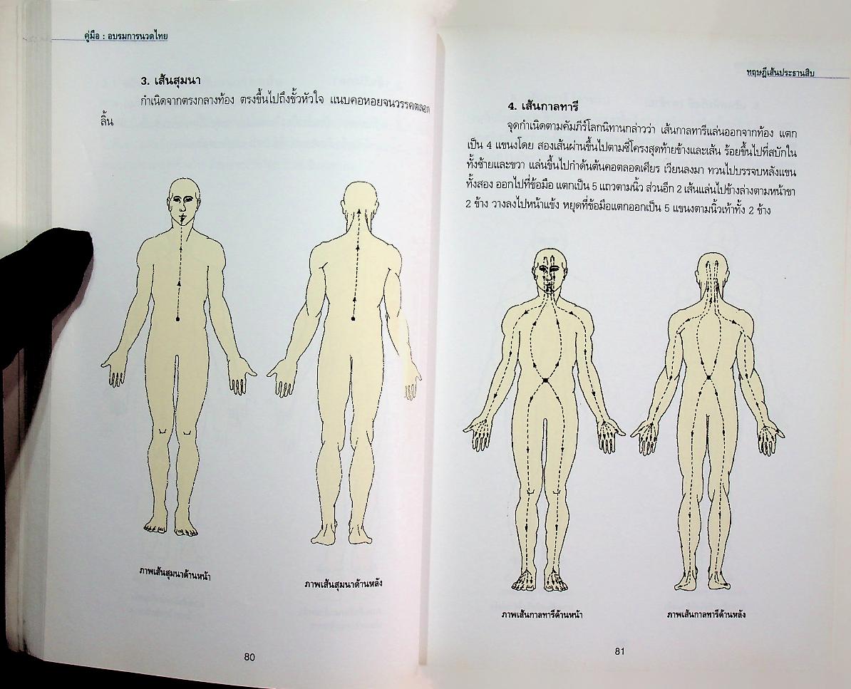 คู่มืออบรมการนวดไทย