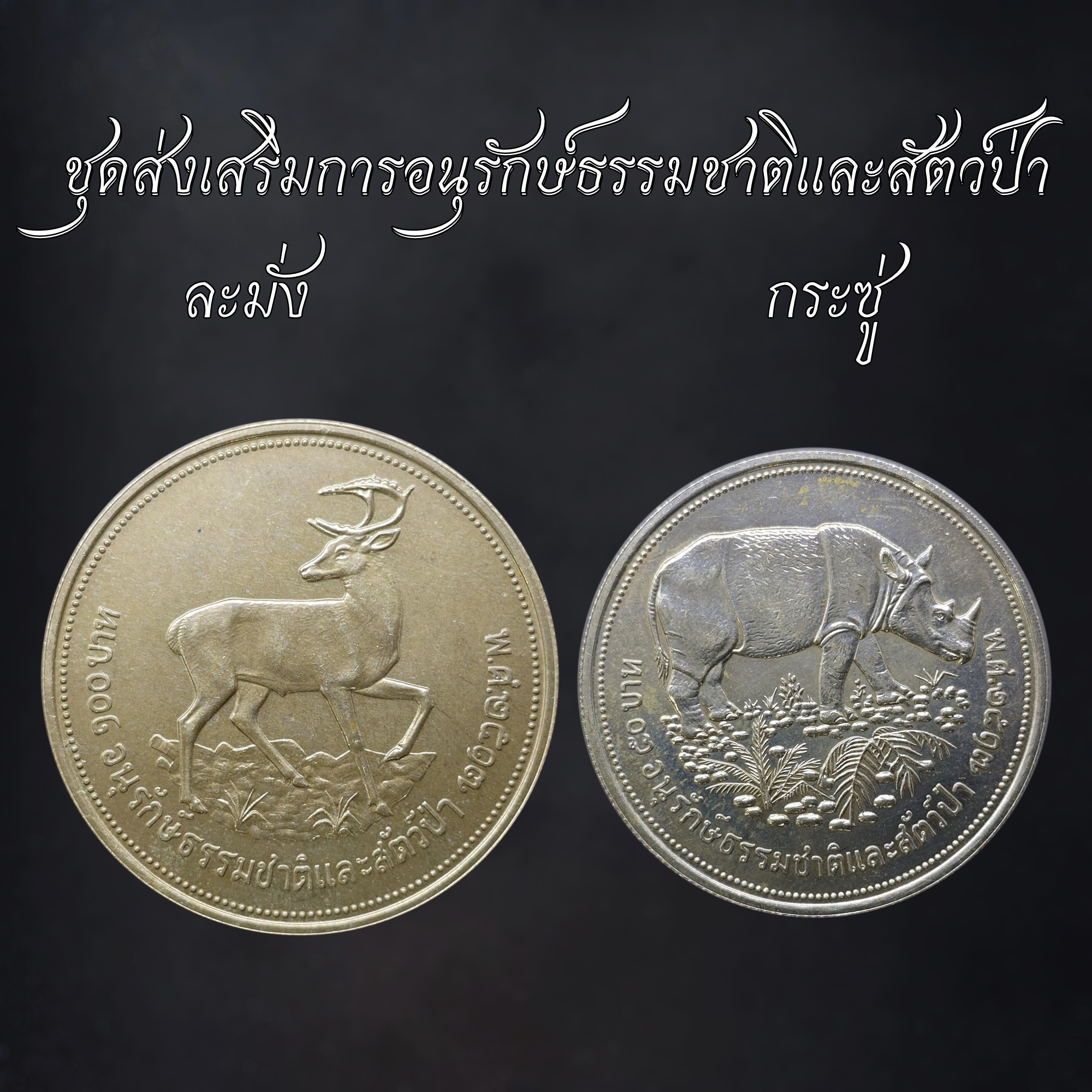 เหรียญเงิน 50-100 บาท ชุดส่งเสริมการอนุรักษ์ธรรมชาติและสัตว์ป่า ละมั่ง กระซู่ พ.ศ.2517