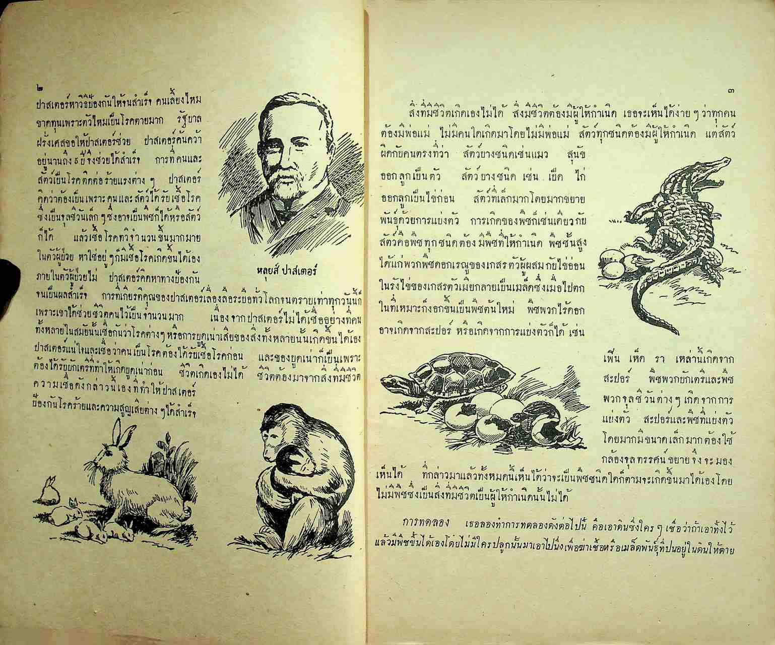 แบบเรียนวิทยาศาสตร์เบื้องต้น ชั้นประถมปีที่ ๗ ของกระทรวงศึกษาธิการ