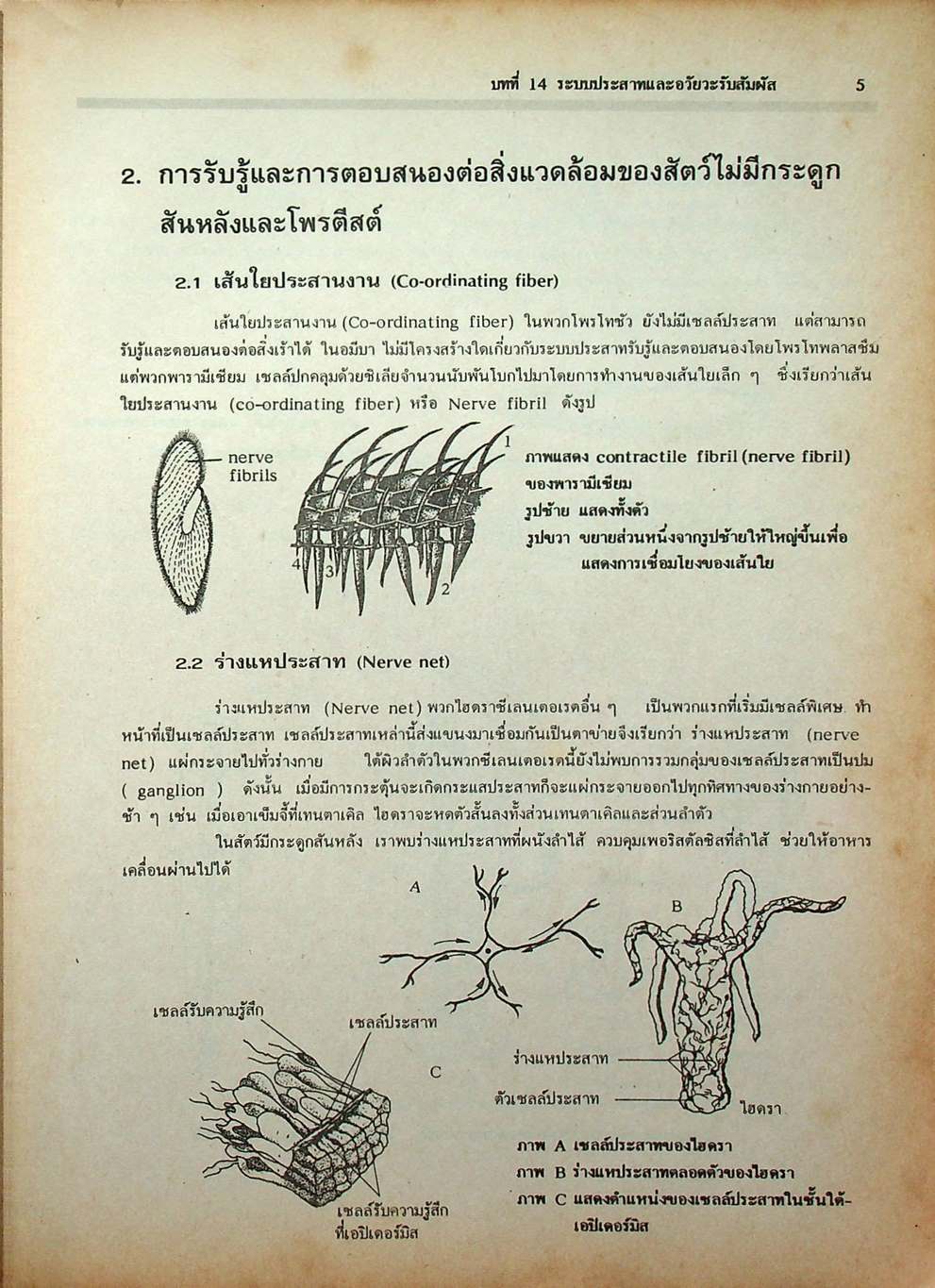 คู่มือเตรียมสอบ ชีววิทยา ม.6 เล่ม 5 ว 044