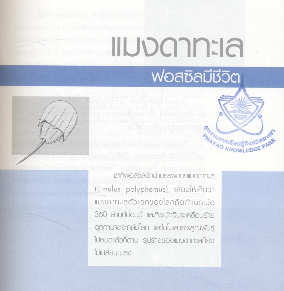 ปริศนานานาสัตว์