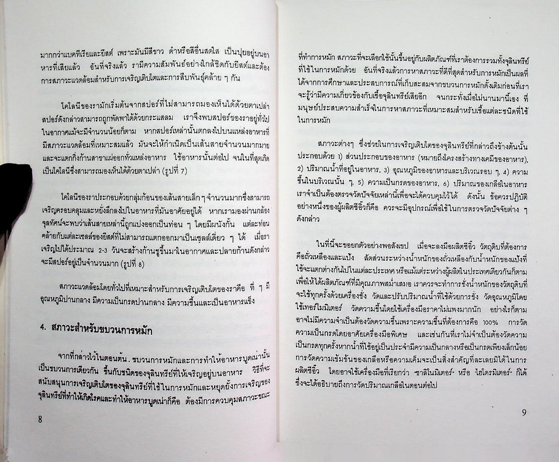 การผลิตซีอิ๋วในอุตสาหกรรมขนาดย่อม