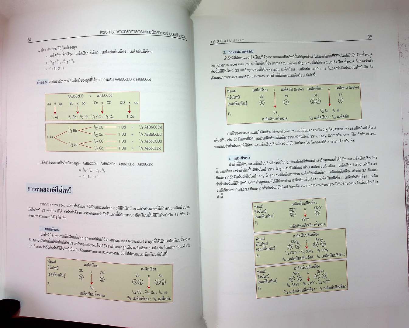 ชีววิทยา 3
