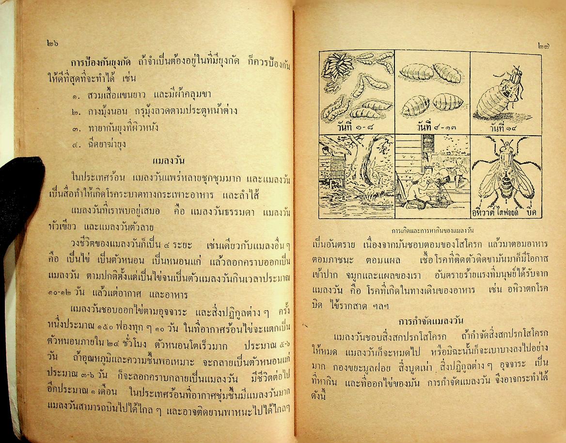 แบบเรียนสุขศึกษา ชั้นมัธยมศึกษาปีที่ ๒