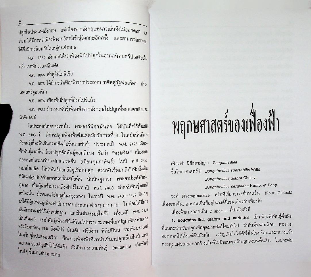 เฟื่องฟ้า