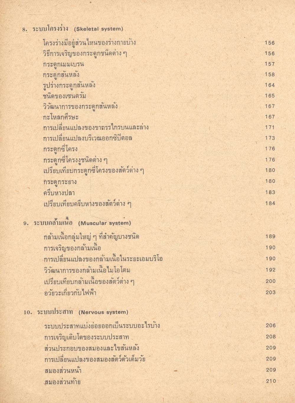 กายวิภาคศาสตร์เปรียบเทียบของคอร์เดต