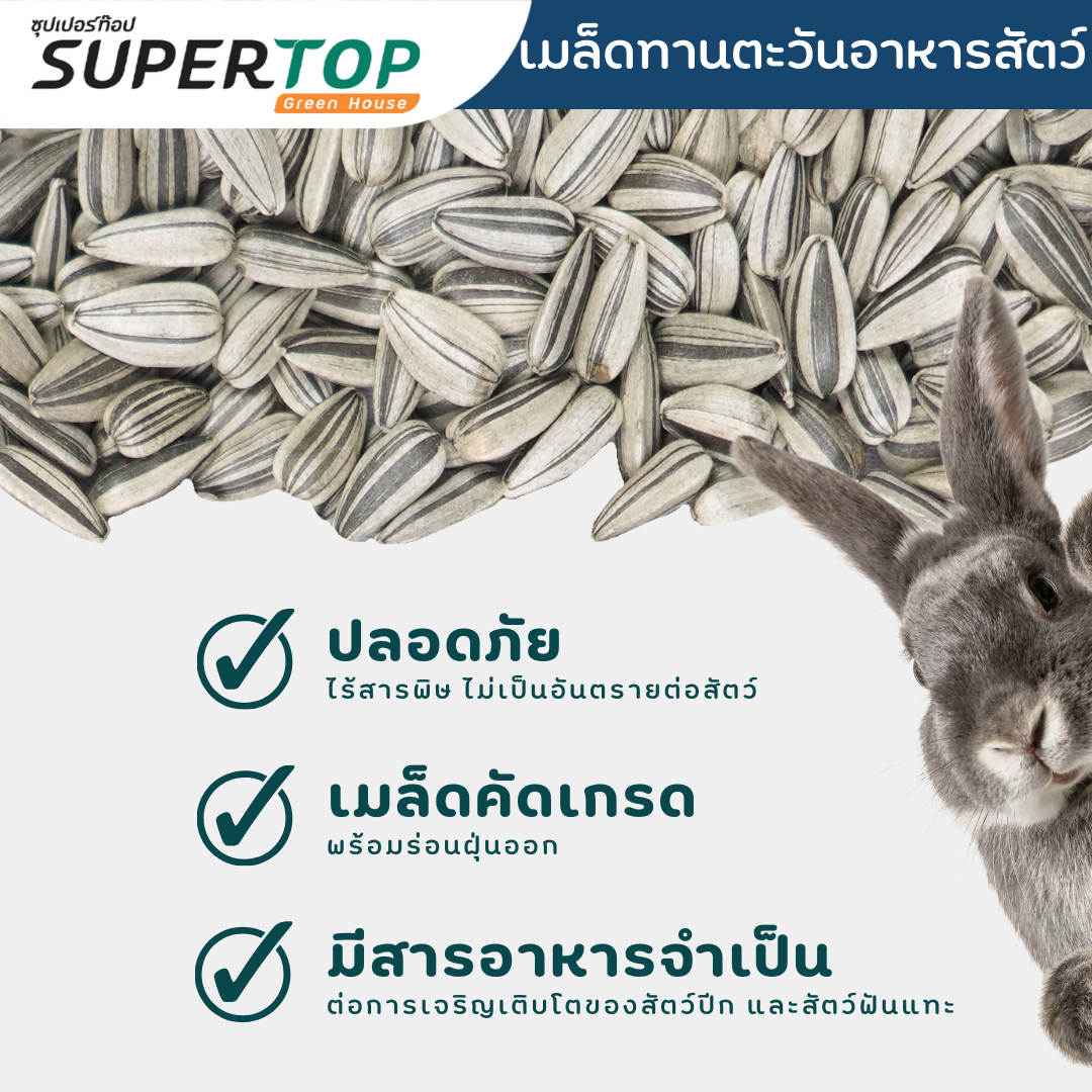 เมล็ดอาหารสัตว์ ทานตะวัน (อาหารนก และ สัตว์ฟันแทะ) SUPERTOP | 1 KG.