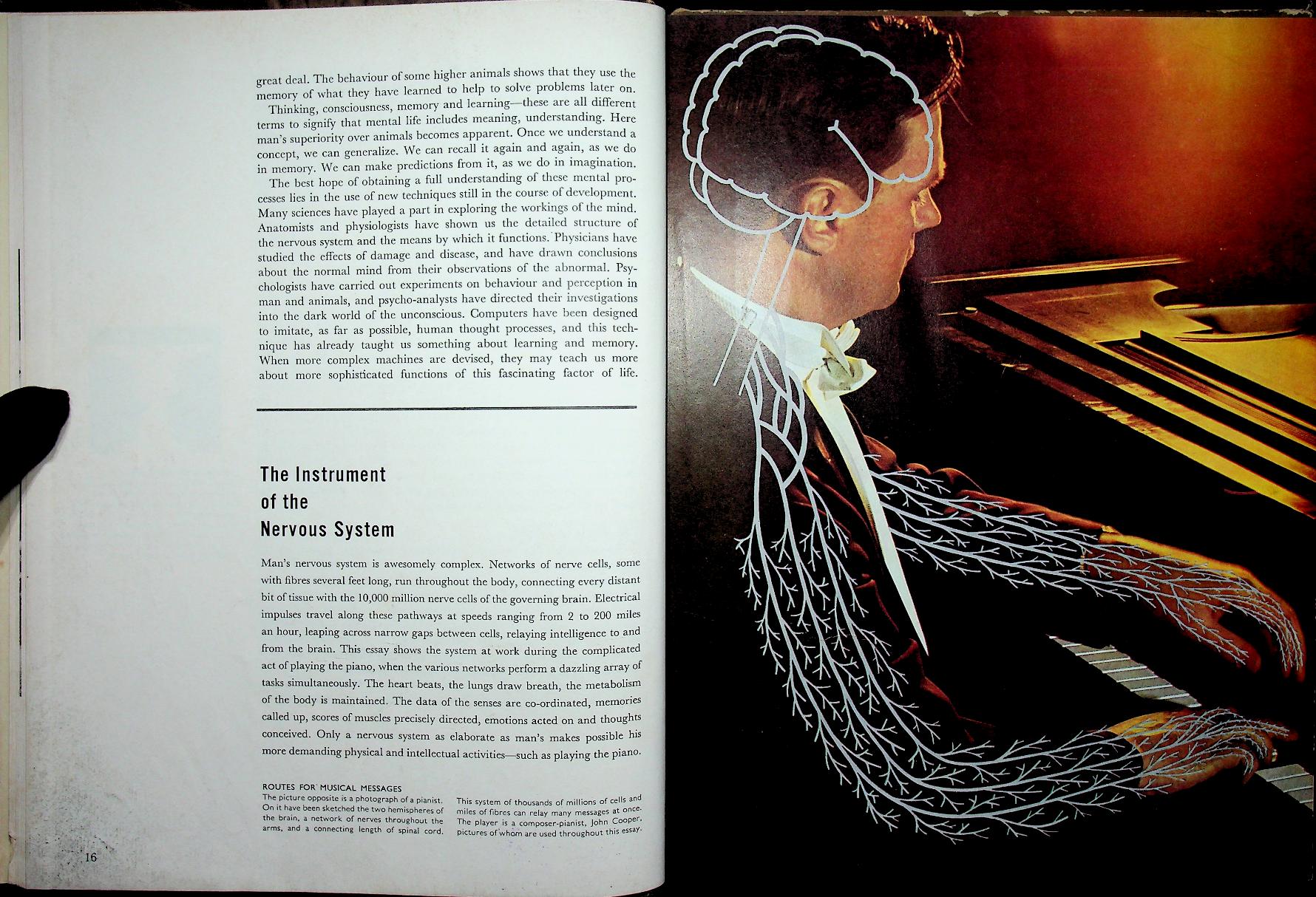 LIFE SCIENCE LIBRARY : THE MIND