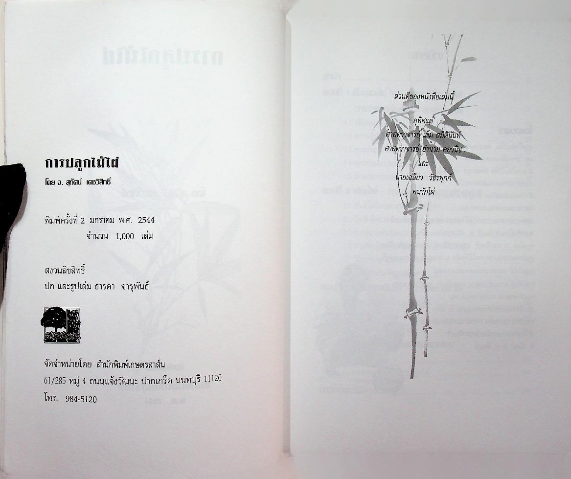 การปลูกไม้ไผ่