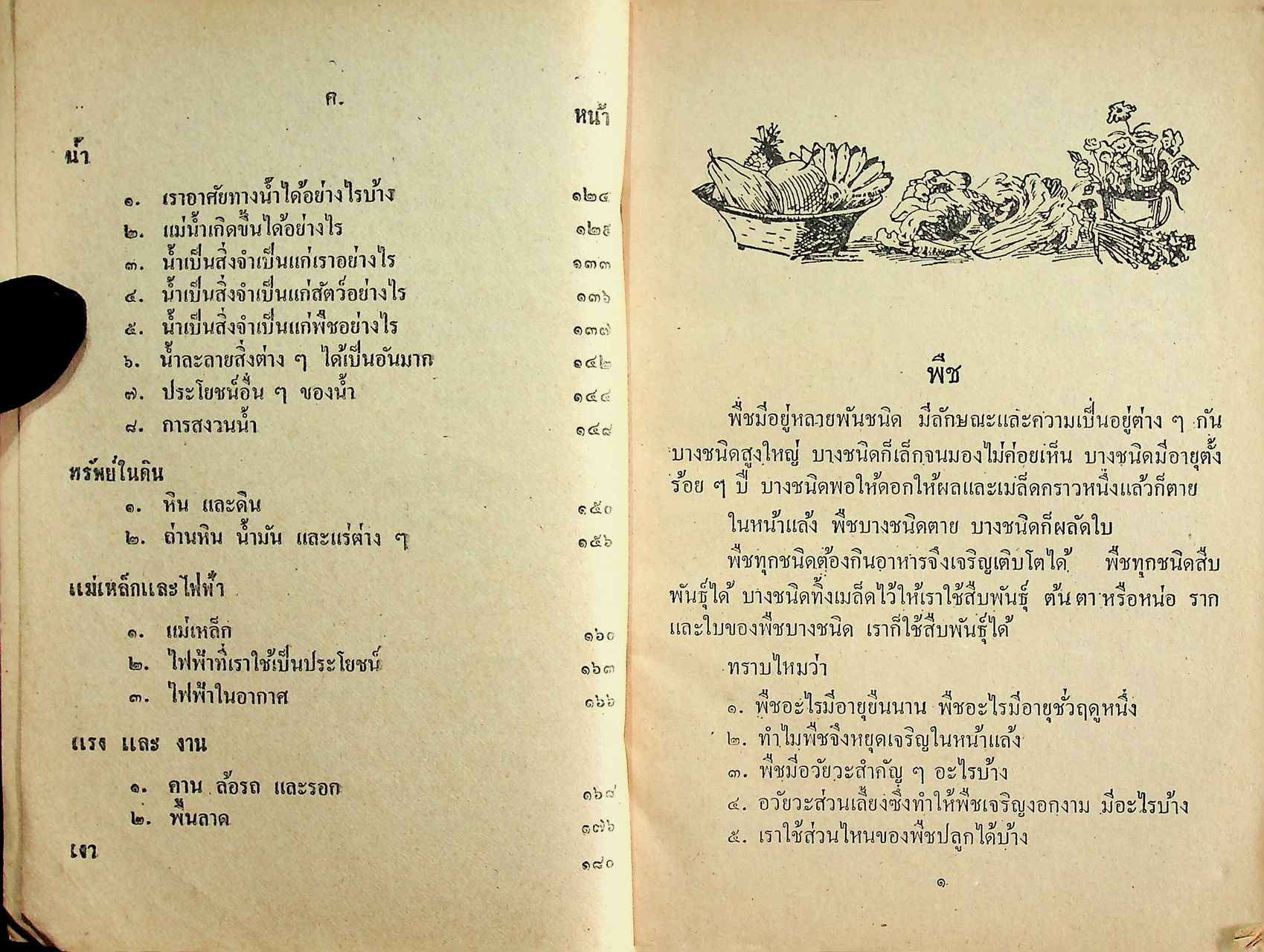 แบบเรียนวิทยาศาสตร์เบื้องต้น เล่ม ๓ ชั้นประถมปีที่ ๓