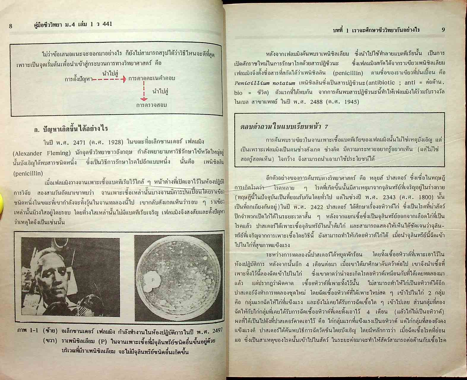 ชีววิทยา ม.4 เล่ม 1 ว 441