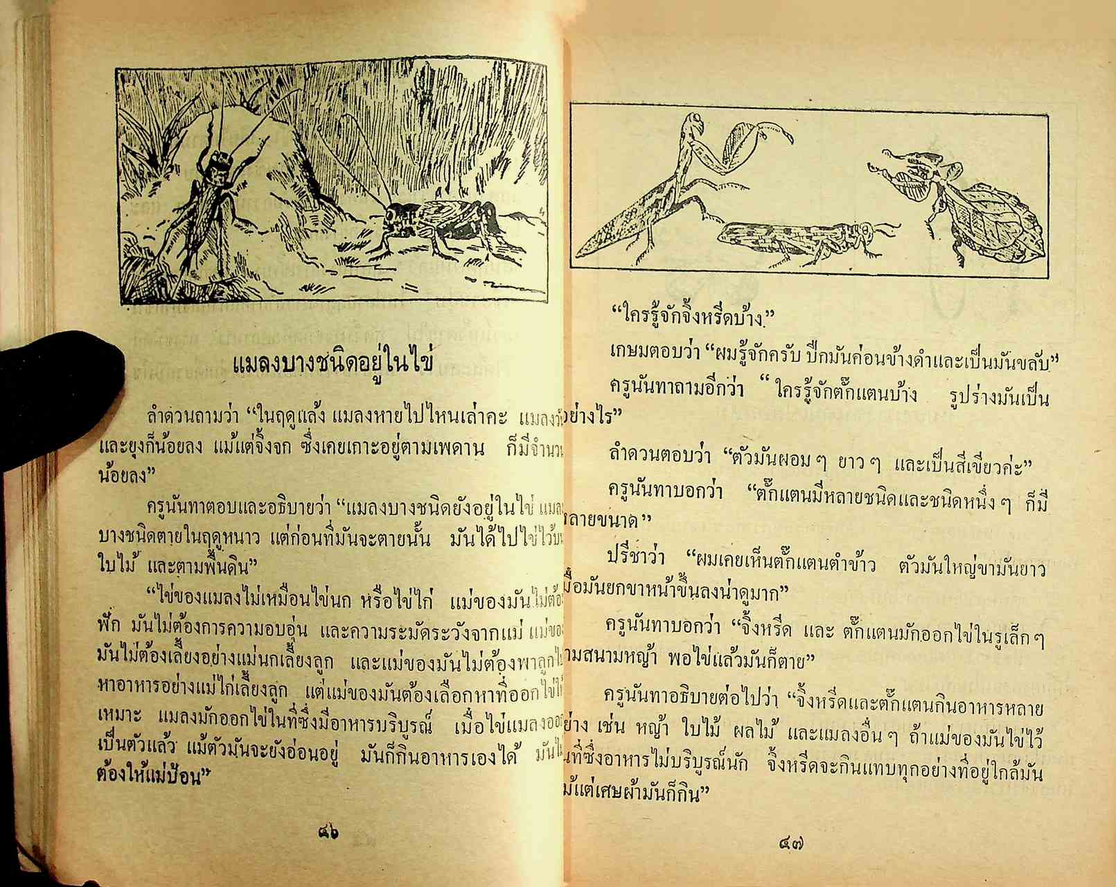 แบบเรียนวิทยาศาสตร์เบื้องต้น เล่ม ๓ ชั้นประถมปีที่ ๓