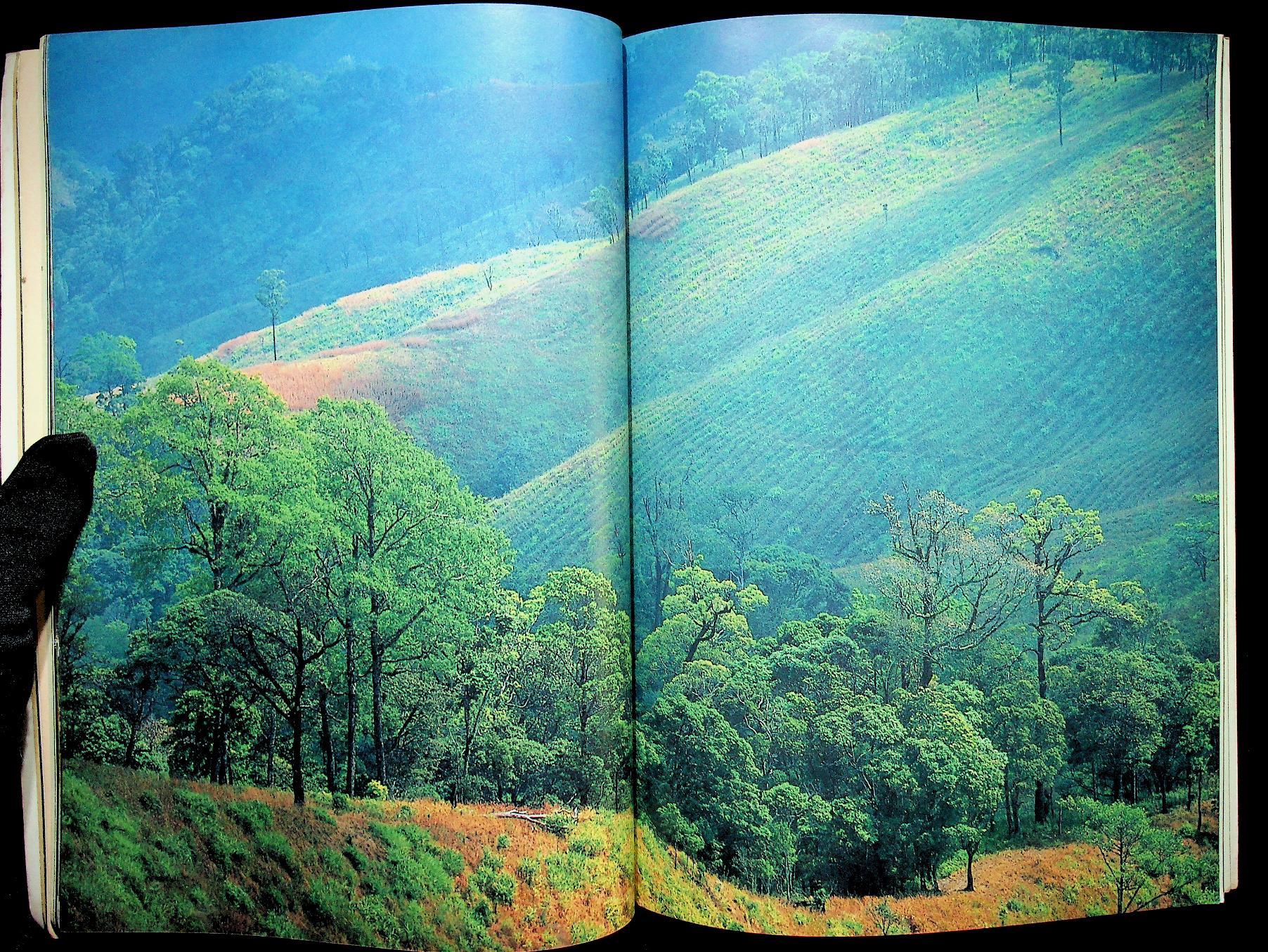 สะหลุงหลวง