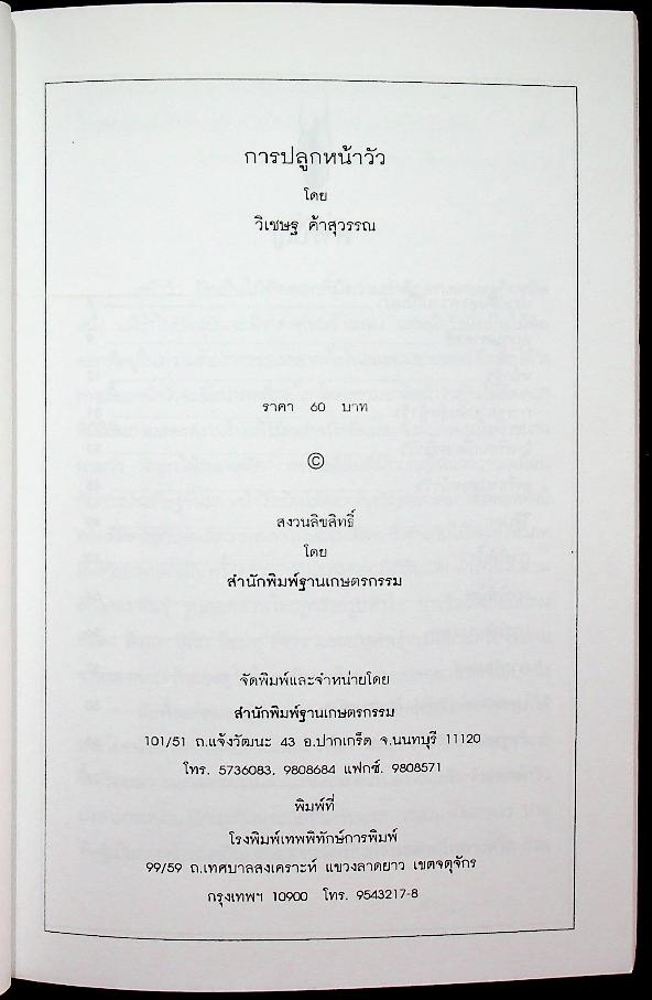 การปลูกหน้าวัว