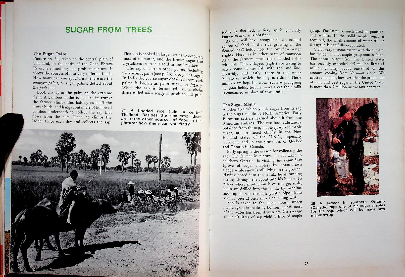 MAN AND HIS WORLD : FOOD