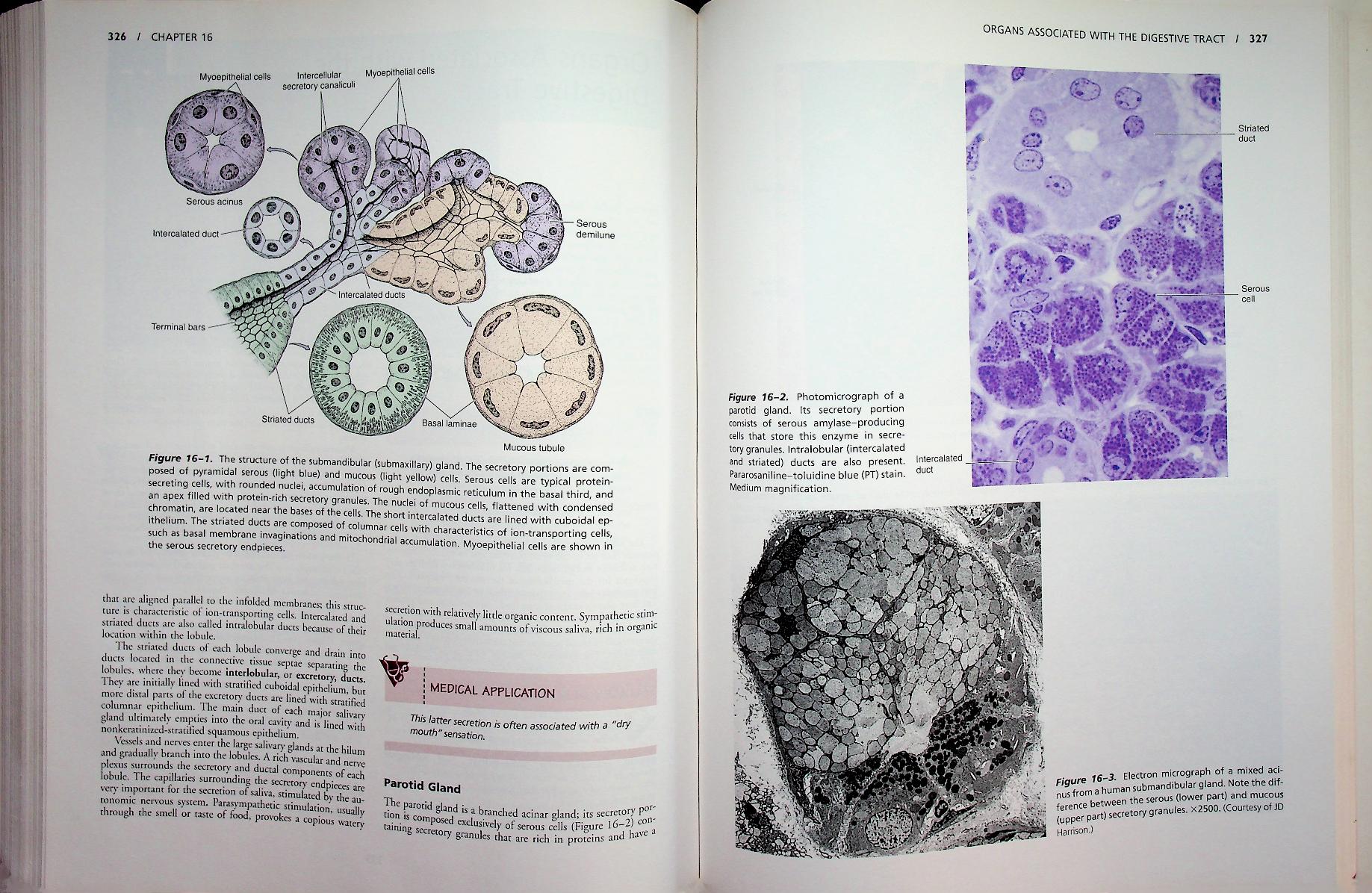 basic histology TEXT & ATLAS