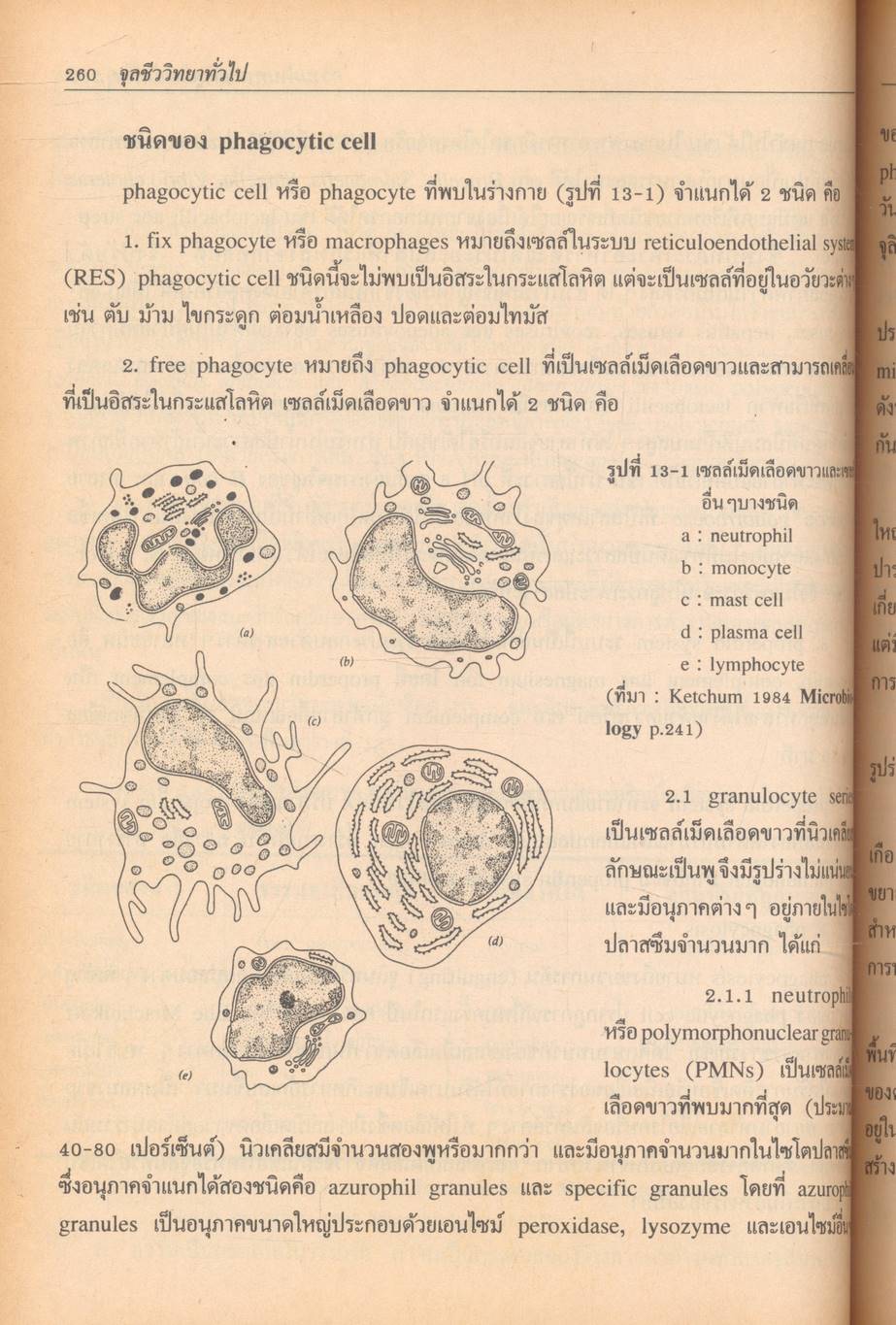 จุลชีววิทยาทั่วไป