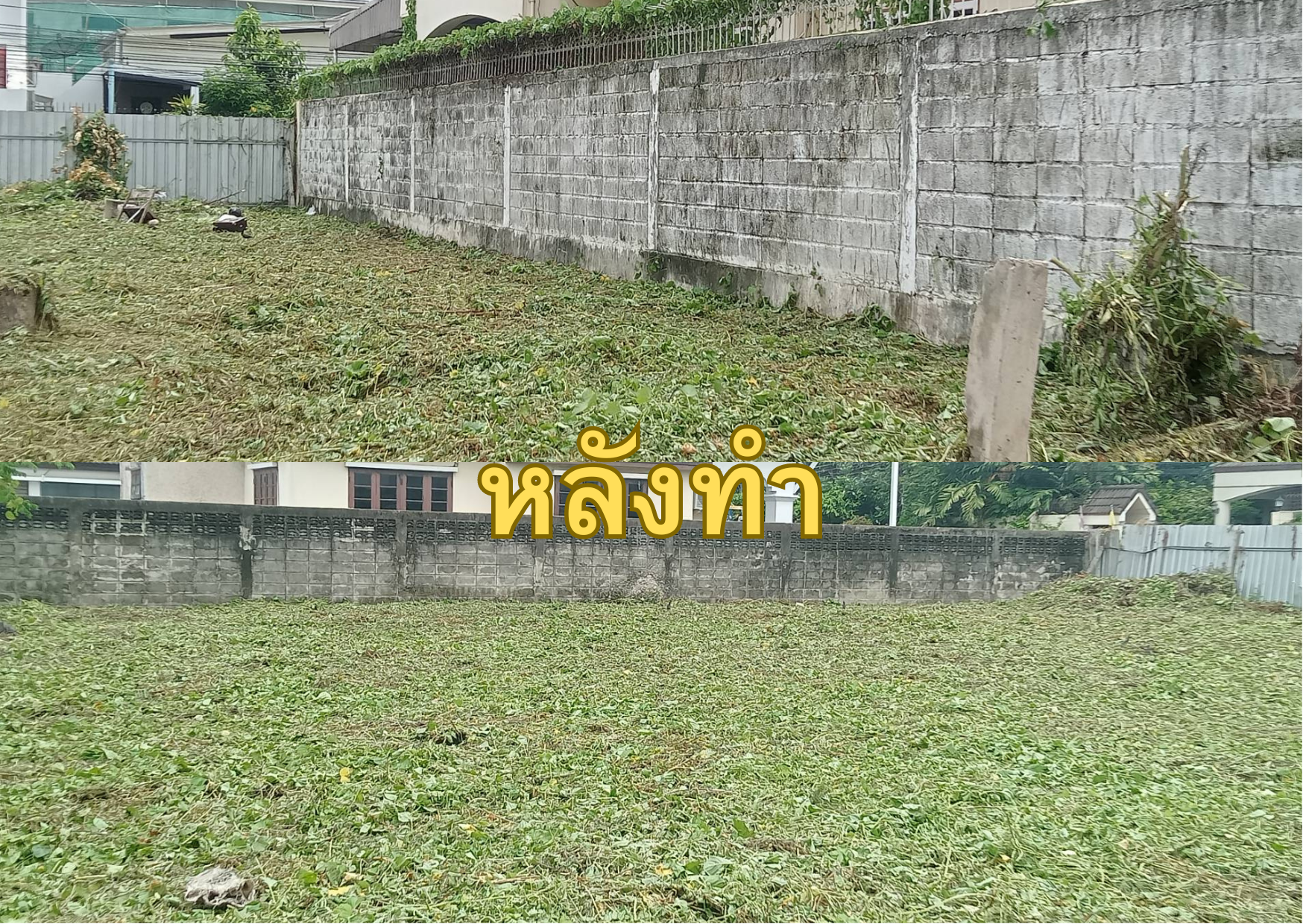 บริการรับตัดหญ้า เคลียร์ริ่ง ถางป่า โทร 094-515-7920