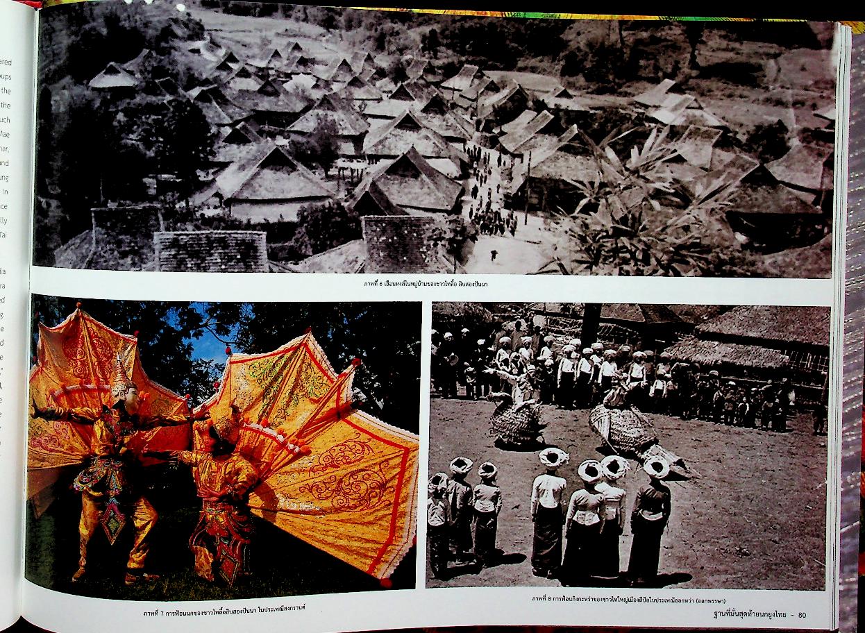 ฐานที่มั่นสุดท้ายนกยูงไทย