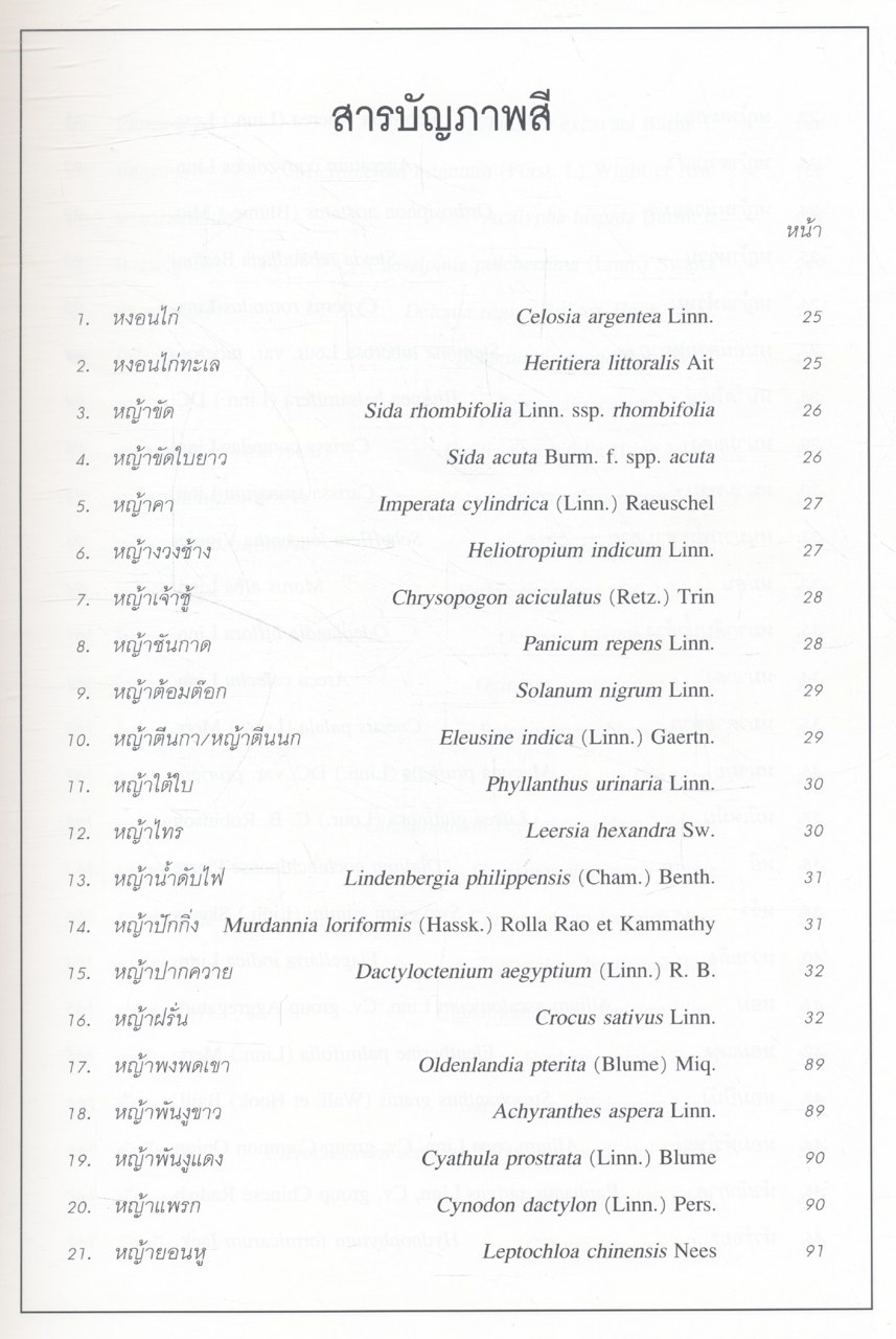 สมุนไพร ไม้พื้นบ้าน (5)