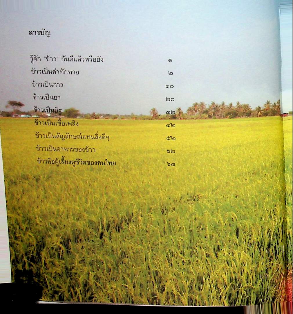 มากกว่าข้าว