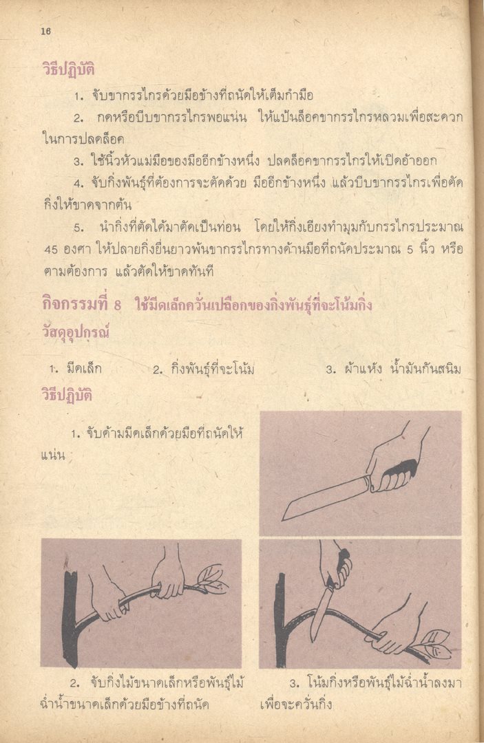 หนังสือเรียนทักษะกระบวนการและแบบทดสอบ กลุ่มการงานพื้นฐานอาชีพ งานเกษตร ป.๕