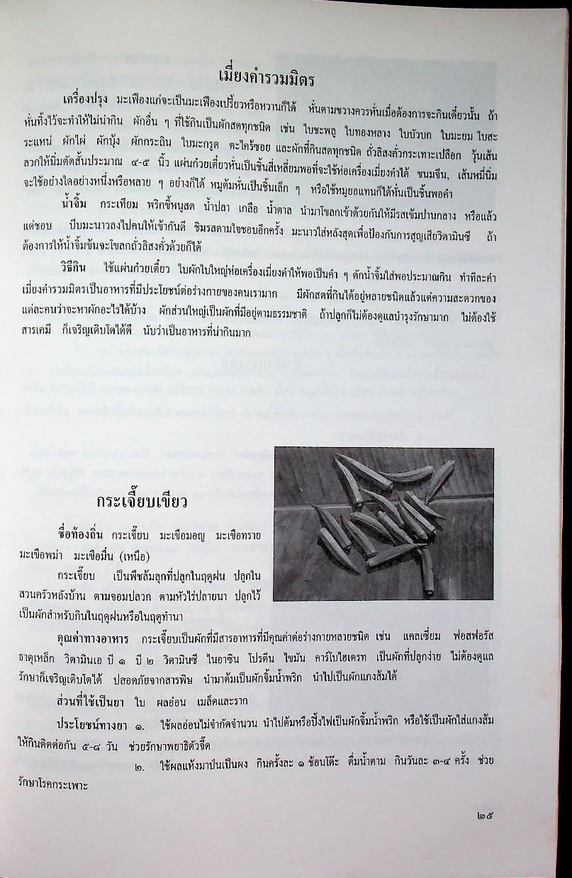 เกษตรกรรมธรรมชาติแบบไทยๆ : ผักบ้านเรา