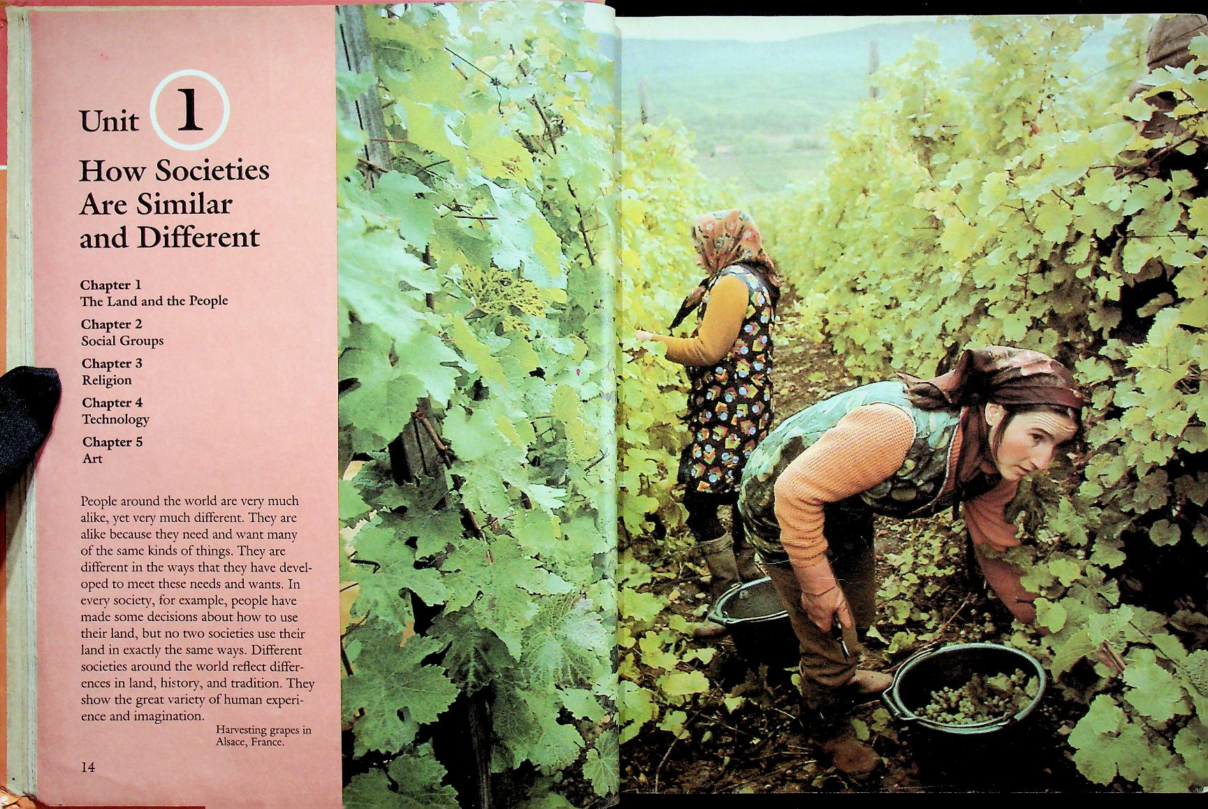 SCOTT, FORESMAN SOCIAL STUDIES Our World: Lands and Cultures