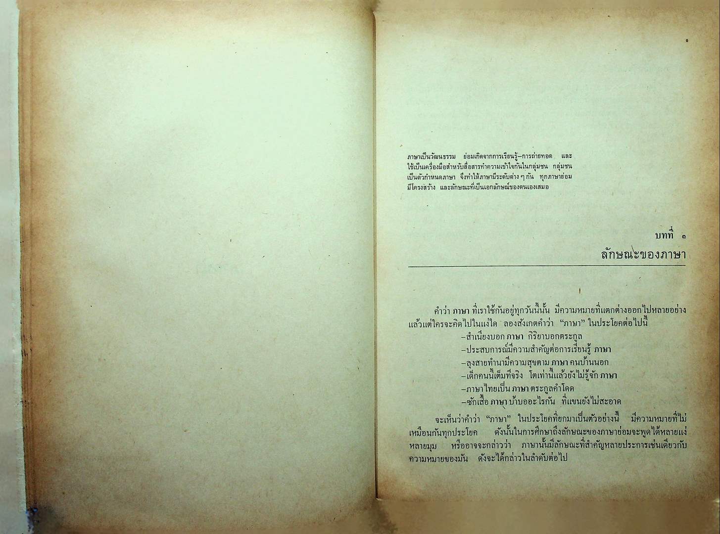 การศึกษาภาษาไทย ตามแนวภาษาศาสตร์