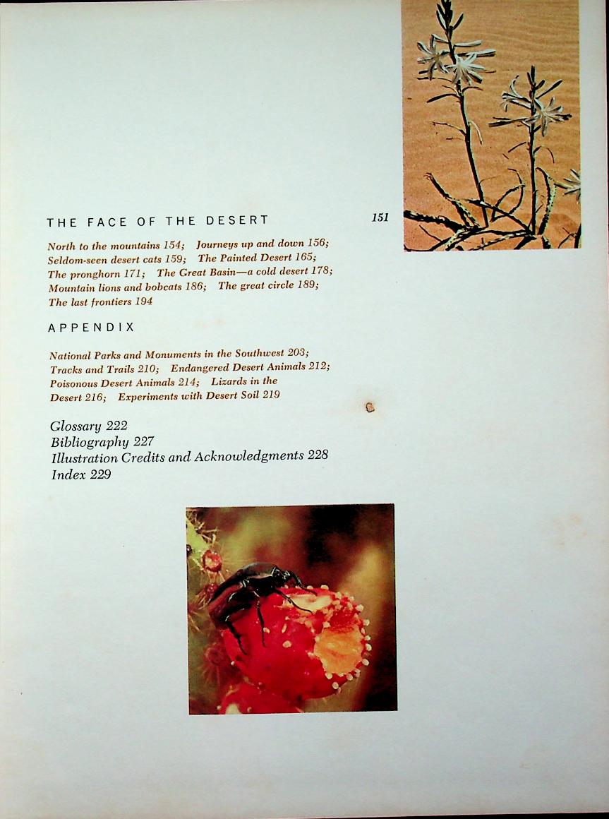 The Life of the Desert