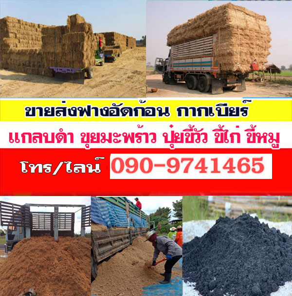 รถรับจ้างขนขยะ ขนเศษปูน ขนดิน
