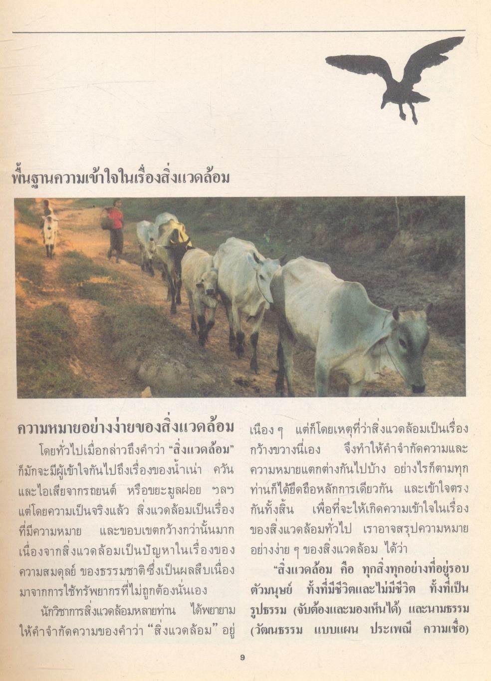 ความรู้เรื่องสิ่งแวดล้อม