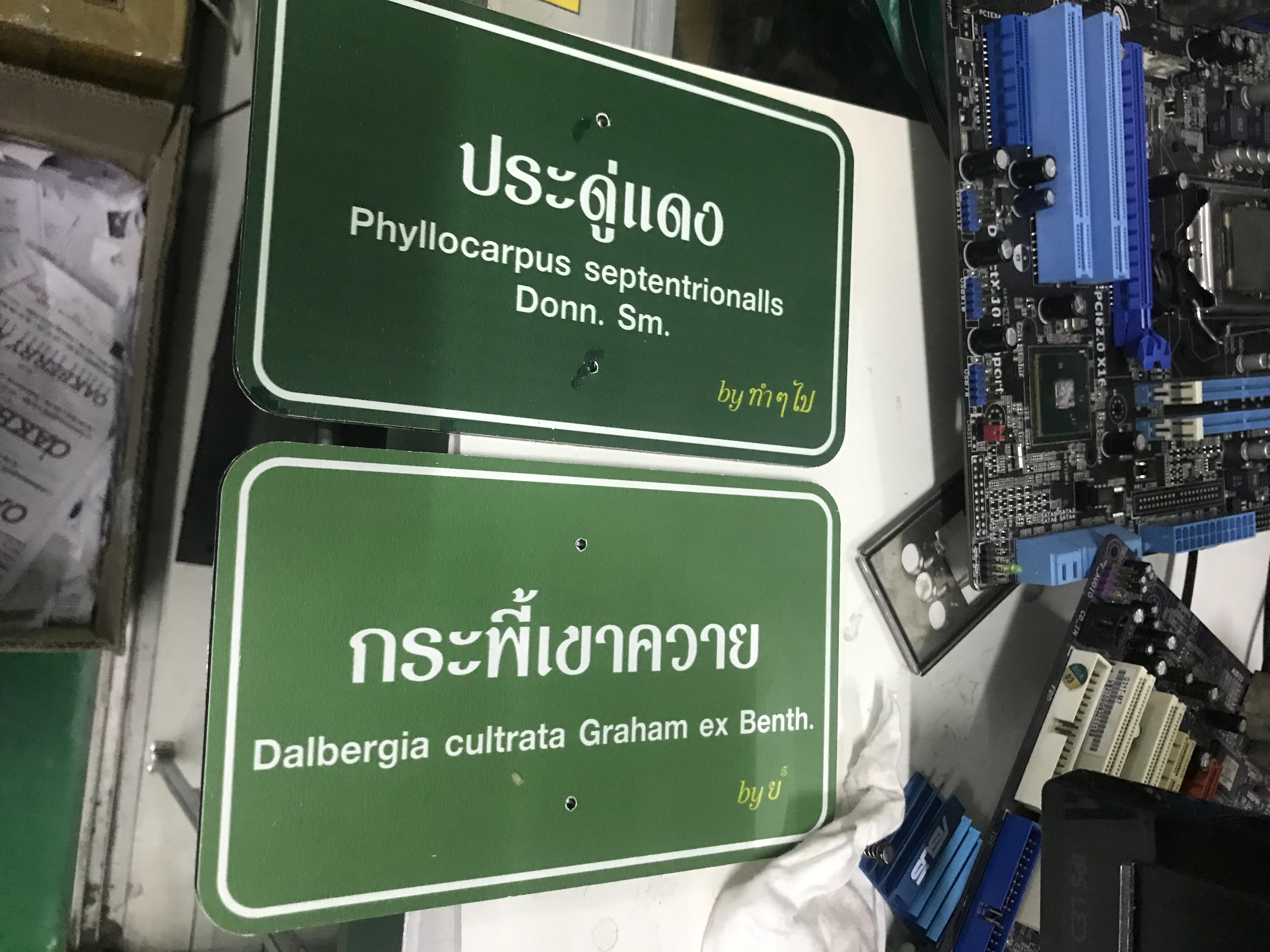 รับทำป้ายชื่อต้นไม้ งานป้ายชื่อต้นไม้ประดู่แดง กระพี้เขาควาย