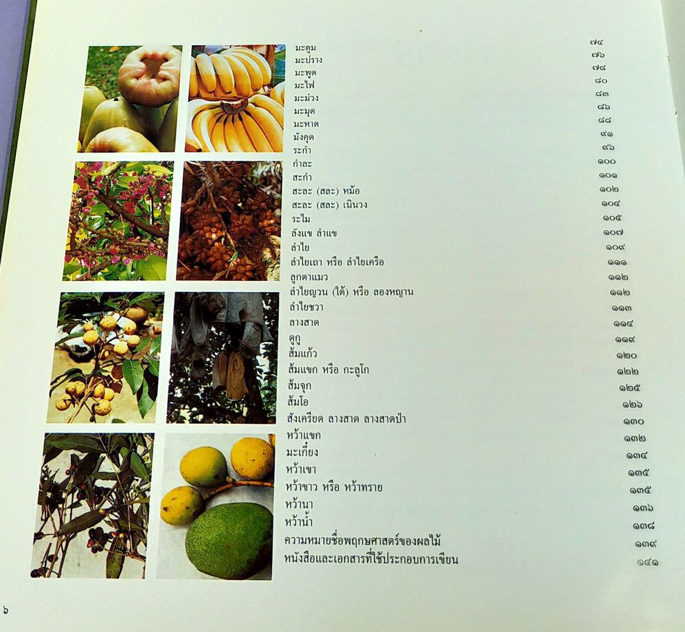 ผลไม้ไทยๆ