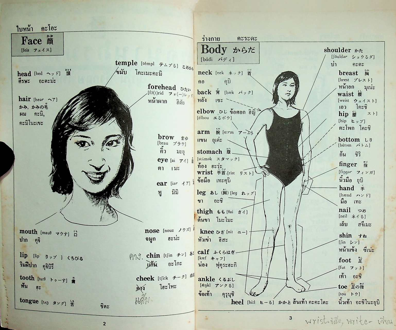 พจนานุกรมภาพ ญี่ปุ่น-อังกฤษ-ไทย