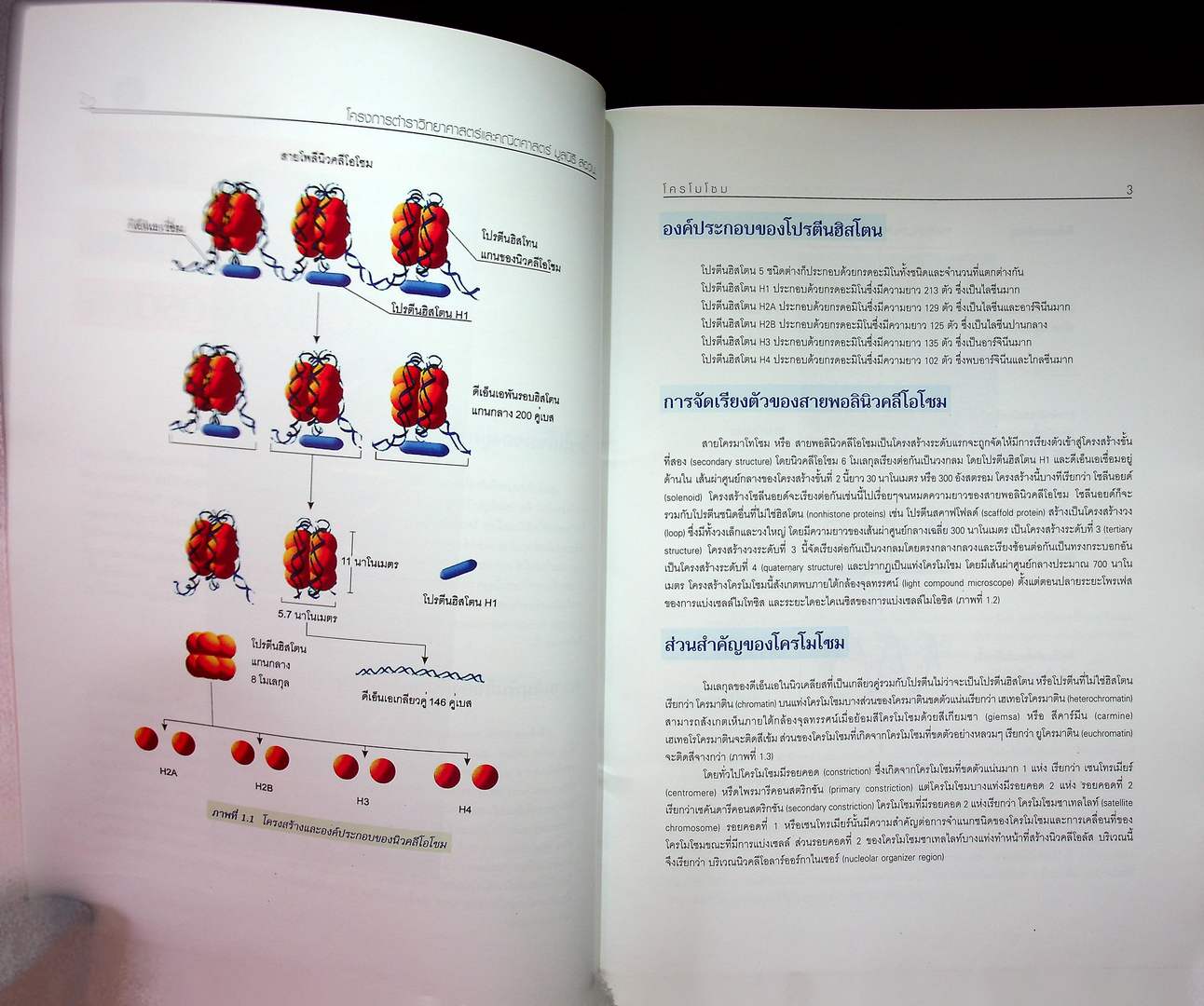 ชีววิทยา 3