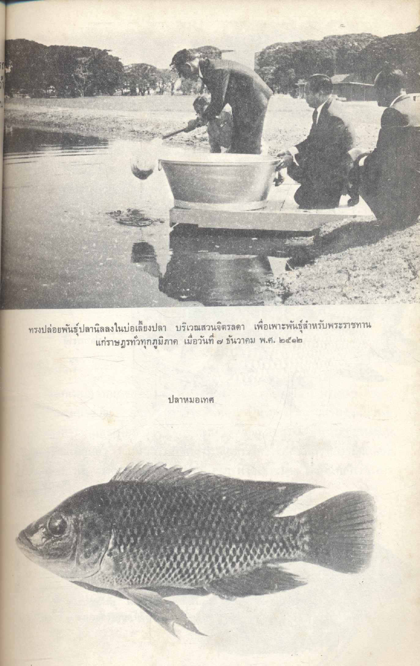 โครงการต่างๆที่ดำเนินการตามพระราชดำริ