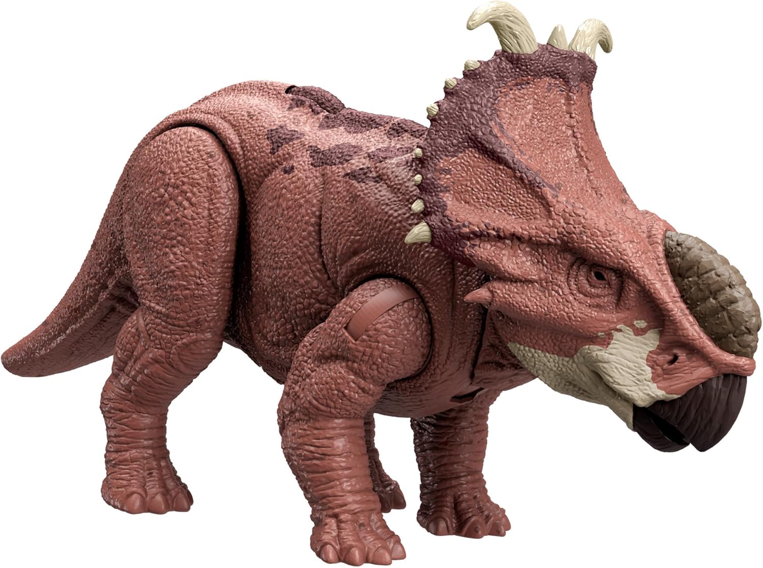 **MTS Toys**Mattel Jurassic World Wild Roar : HTK72 Pachyrhinosaurus [ความยาวจากหัวถึงหาง 28 ซ.ม.]