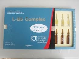 L-B5 complex