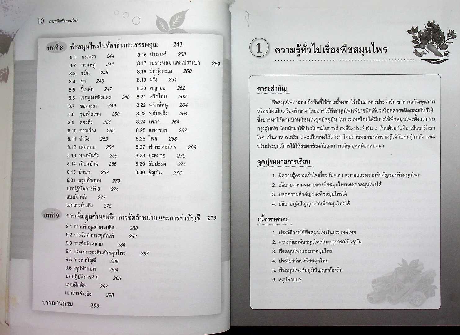 การผลิตพืชสมุนไพร