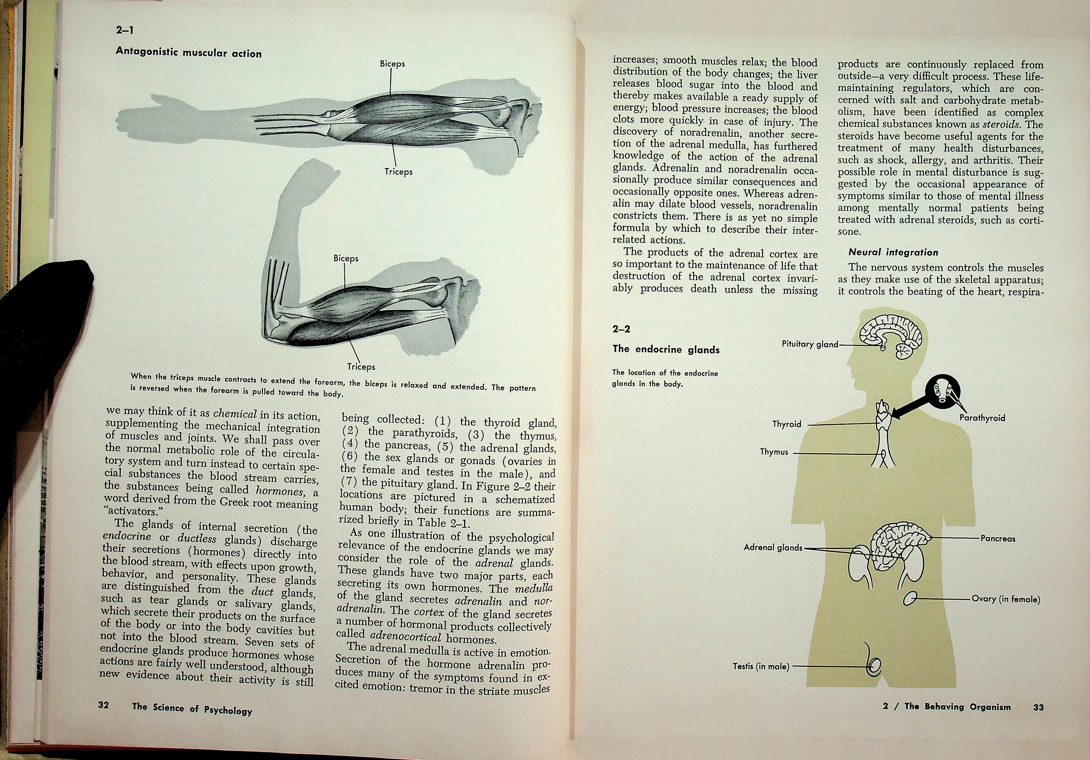 Introduction to Psychology
