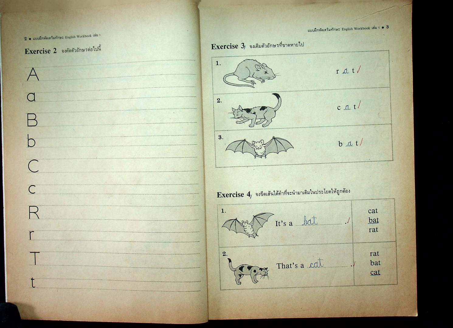 แบบฝึกหัดเสริมทักษะสำหรับ ENGLISH IS FUN BOOK 1 PRATOM 5-1