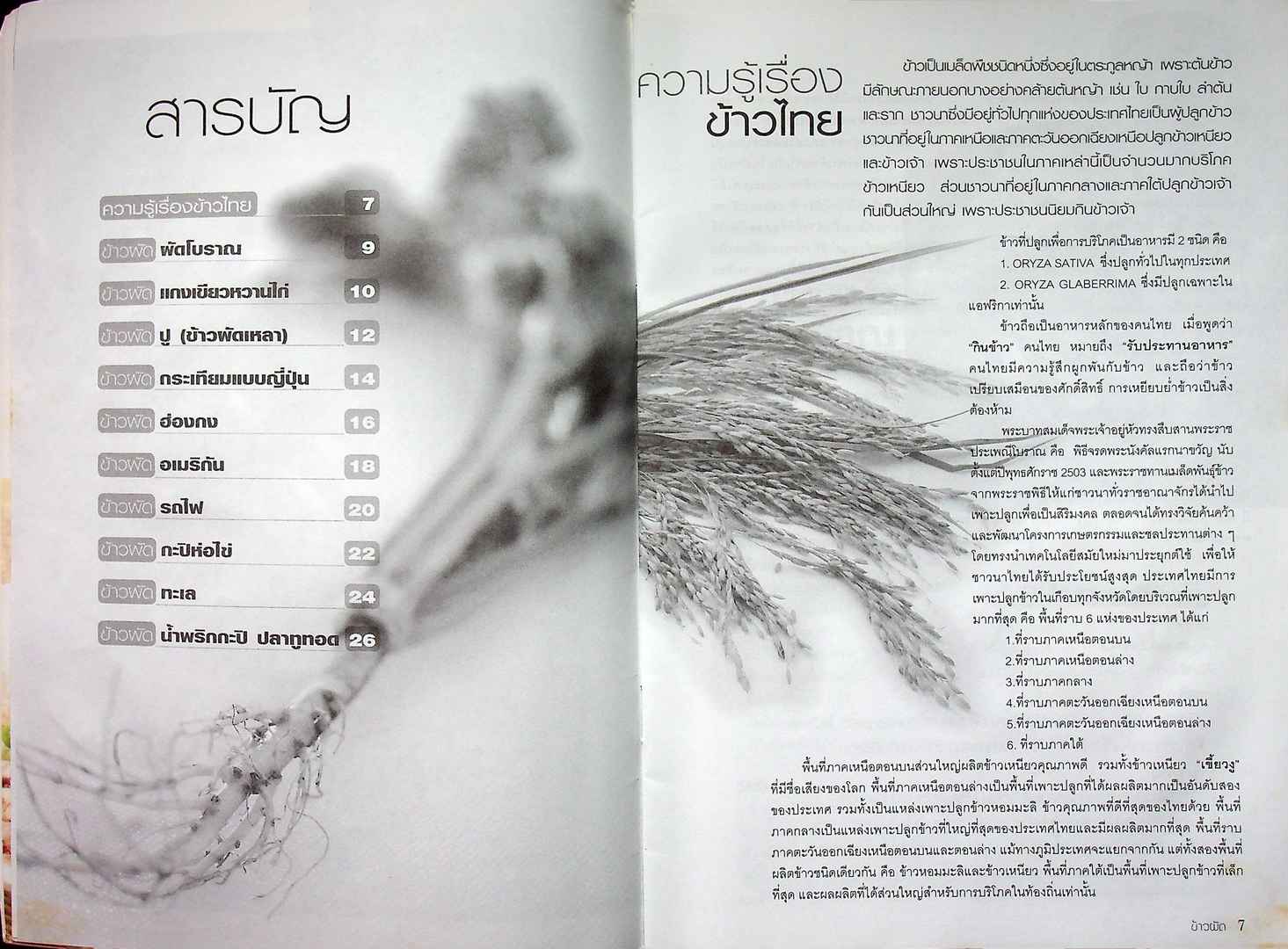 ข้าวผัด