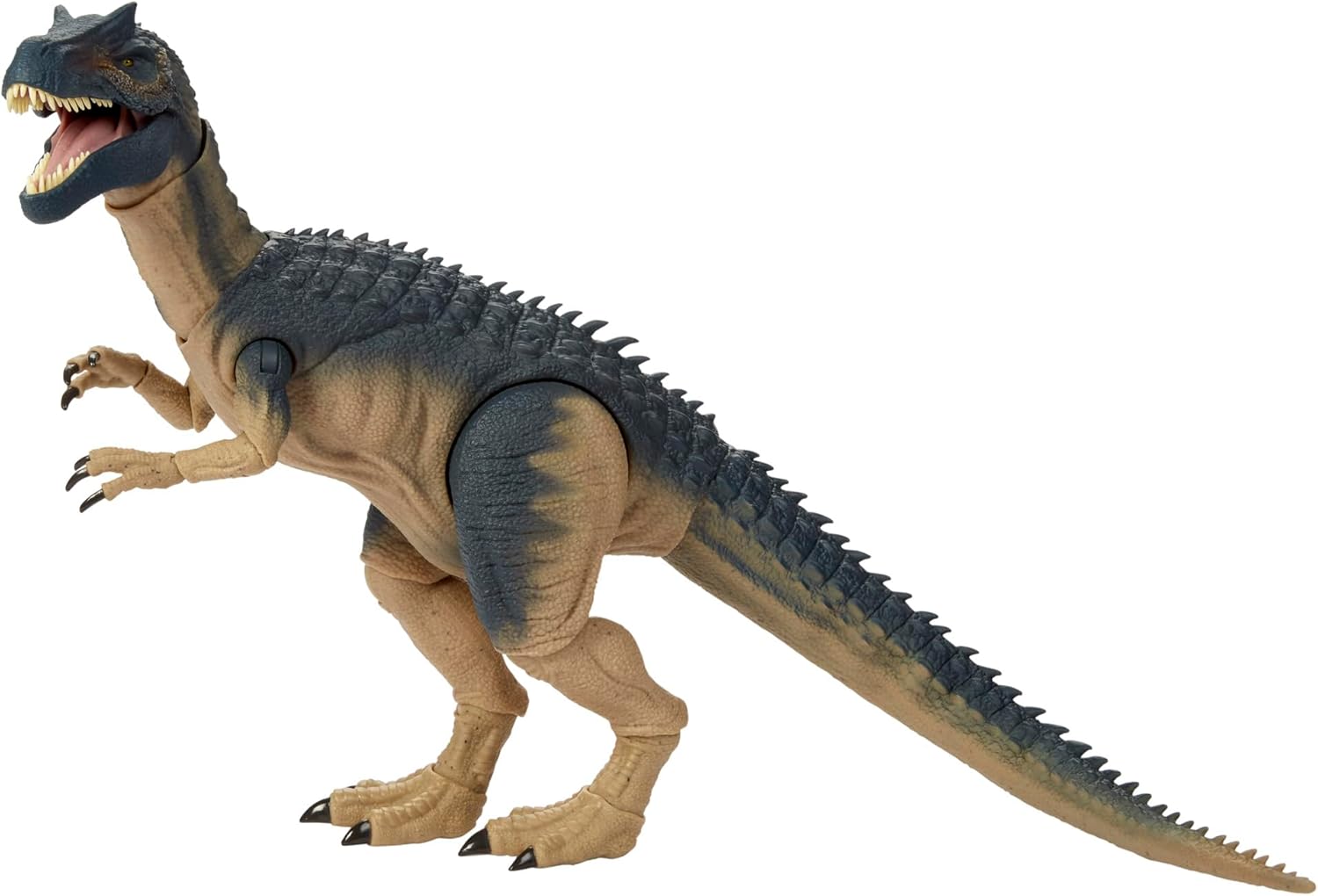 **MTS Toys**Mattel Jurassic World Hammond Collection : JCG13 Allosaurus [ความยาวจากหัวถึงหาง 52.7 ซ.ม.]